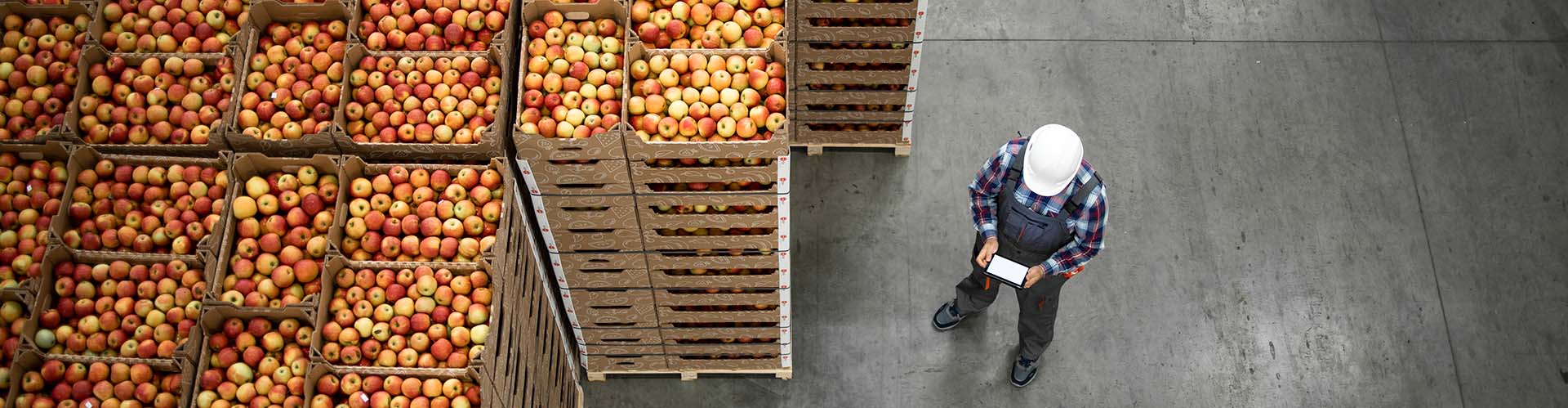 Man naast appelkisten