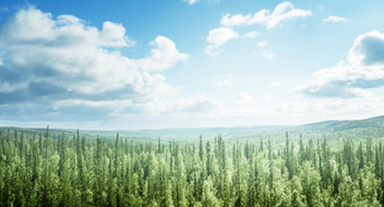 Espresso-enquête - Overzicht van de bevindingen van de milieu audit