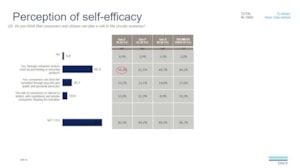 Perception of self-efficacy