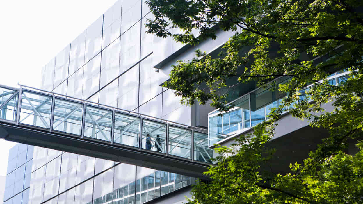 ISO 14001-certificering: Milieumanagement 