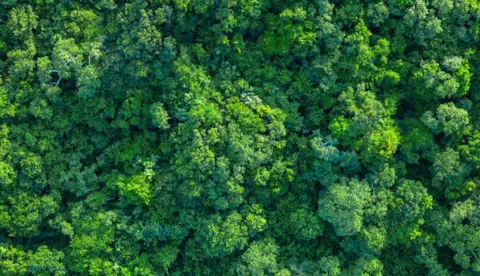 Herziening van ISO 14001