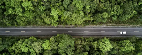 Weg door een groen bos, van bovenaf