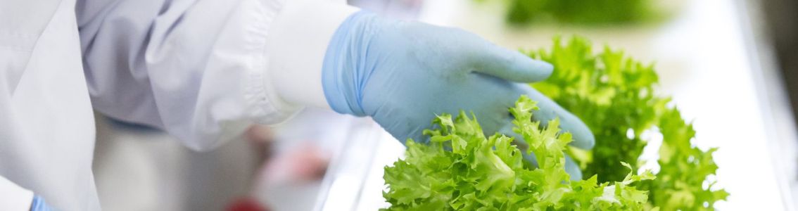 Wat is een voedselveiligheidsmanagementsysteem?