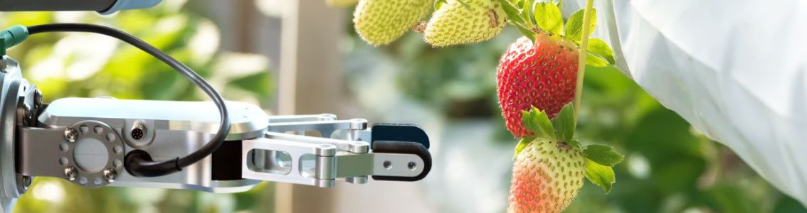 Wat zijn risico’s voor de voedselveiligheid?