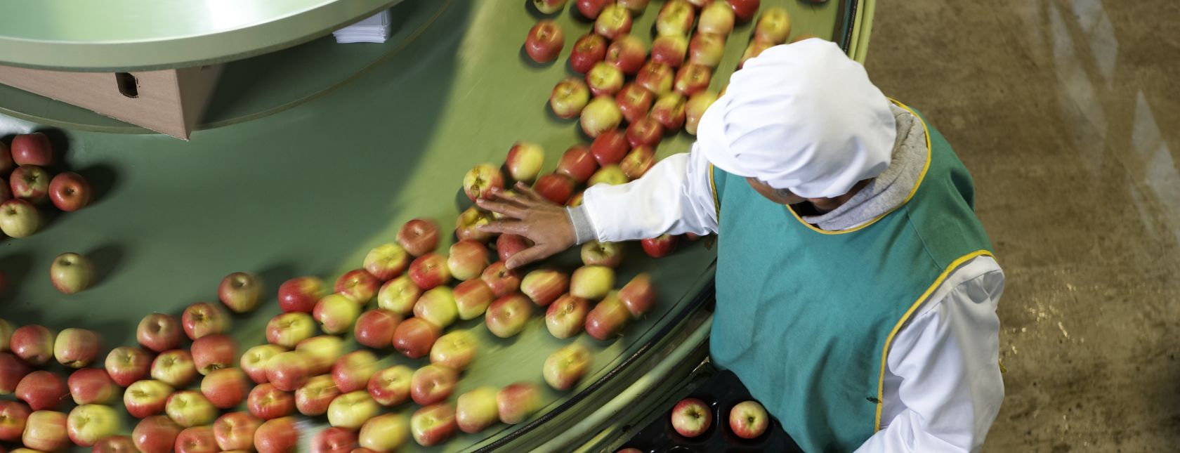 Appels sorteren aan de lopende band in de fabriek
