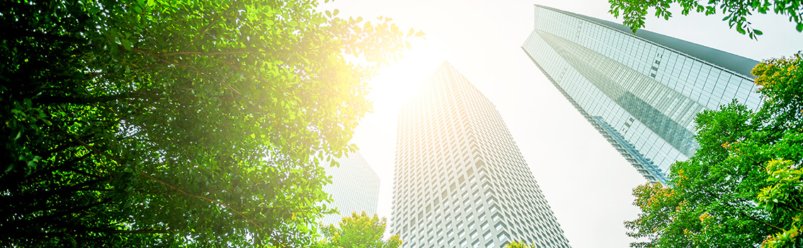 Espresso Survey milieu banner