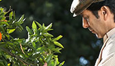 Training Interne Auditor Voedselveiligheids- managementsystemen