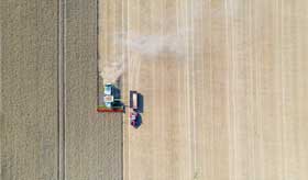 Food Safety Culture Training