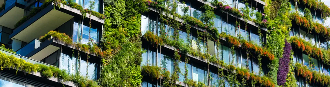 Building with growing greenery