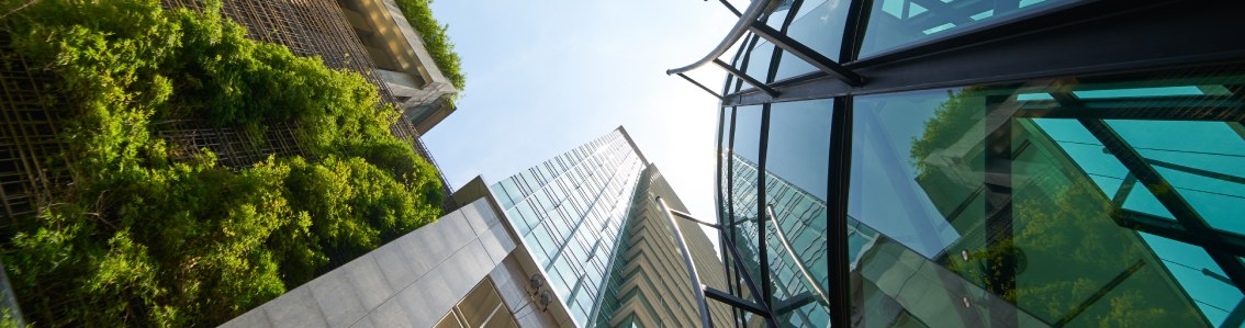 MVO Prestatieladder certificering