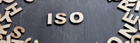 ISO 2021 survey