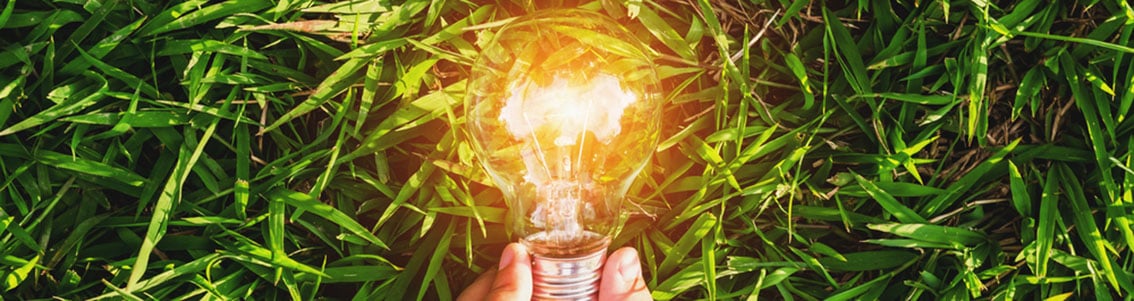 Gloeilamp in het groene gras