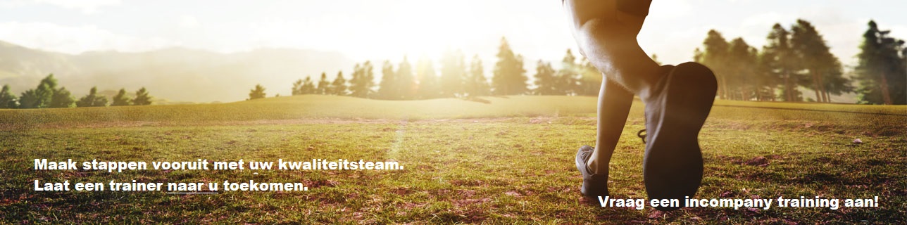 Incompany training DNV