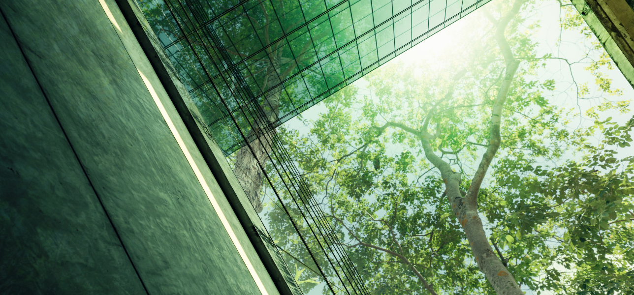 Zijn bedrijven toegewijd aan duurzaamheid?