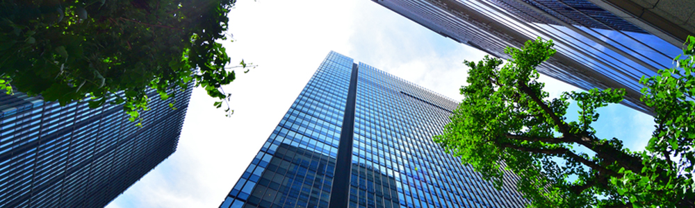 De meest voorkomende ISO 14001 auditbevindingen