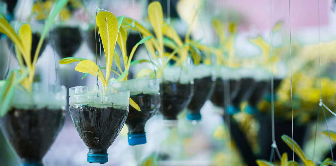 Recycle waterfles pot