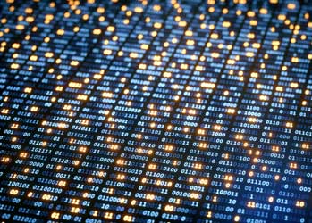 Information security snapshot