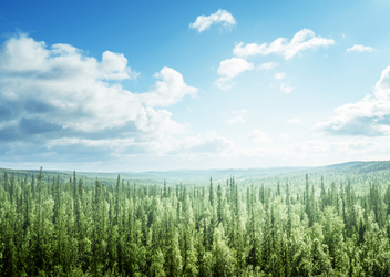 Overzicht van de bevindingen van de milieu audit