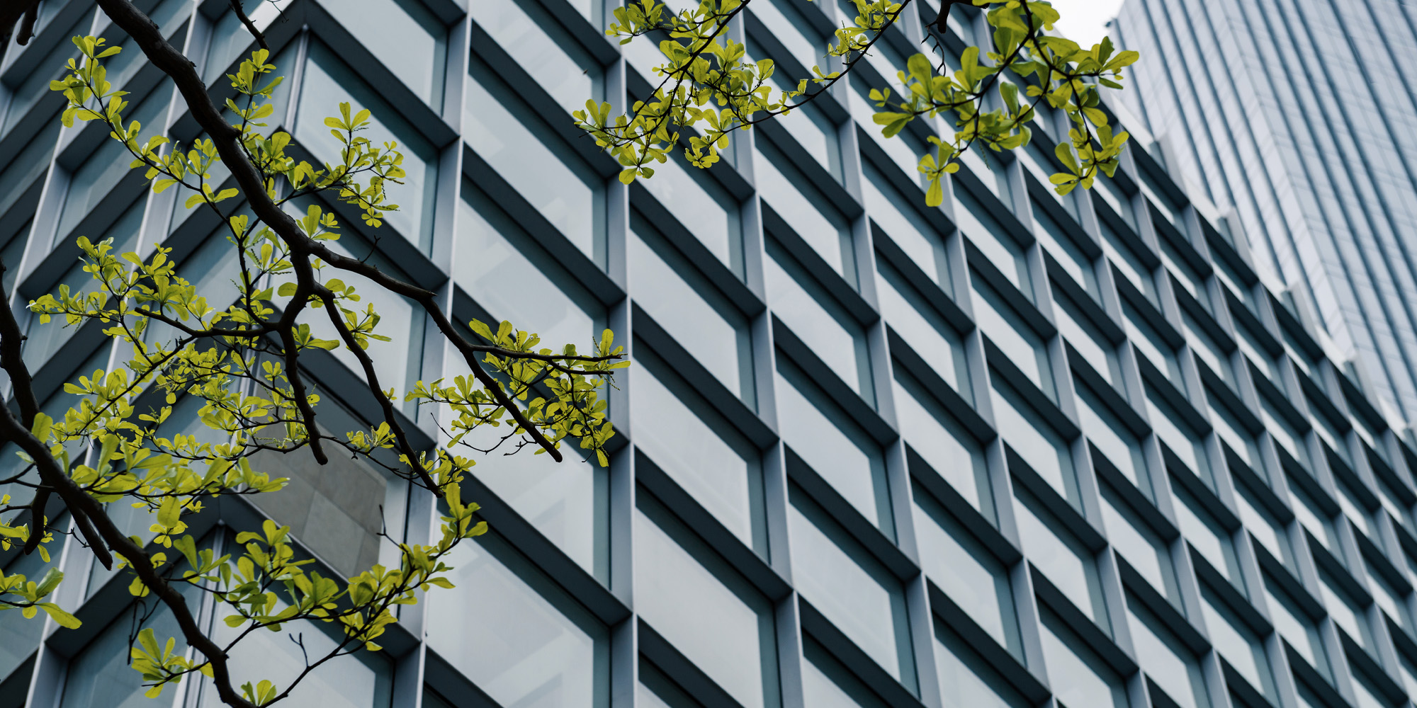 Milieu- en energiemanagement trainingen