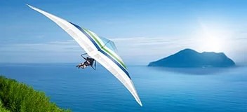 Online self-assessment